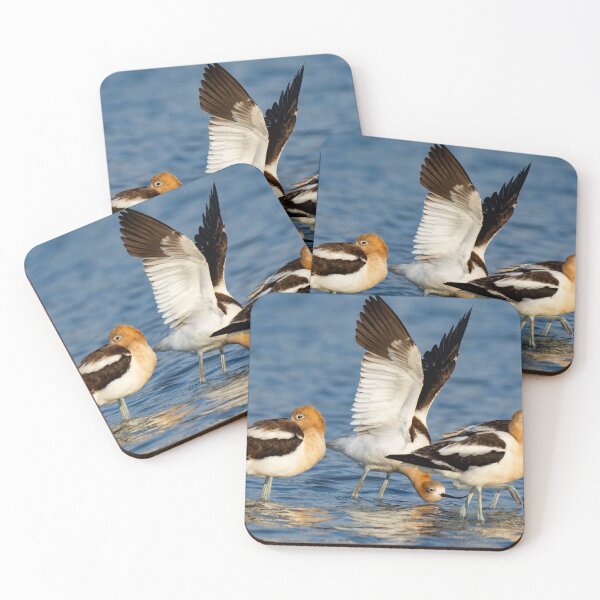 Item preview, American Avocets resting on their way South designed and sold by FlyingLilly.