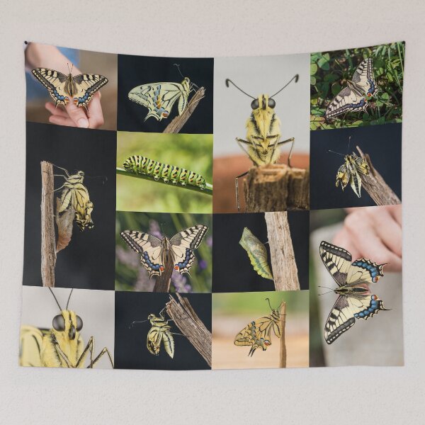 Item preview, Swallowtail butterfly collage designed and sold by StohlerPhotos.
