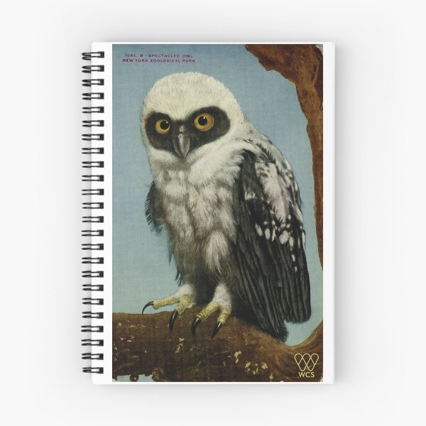 Item preview, 1920s Bronx Zoo Spectacled Owl Postcard designed and sold by WCS-Archives.