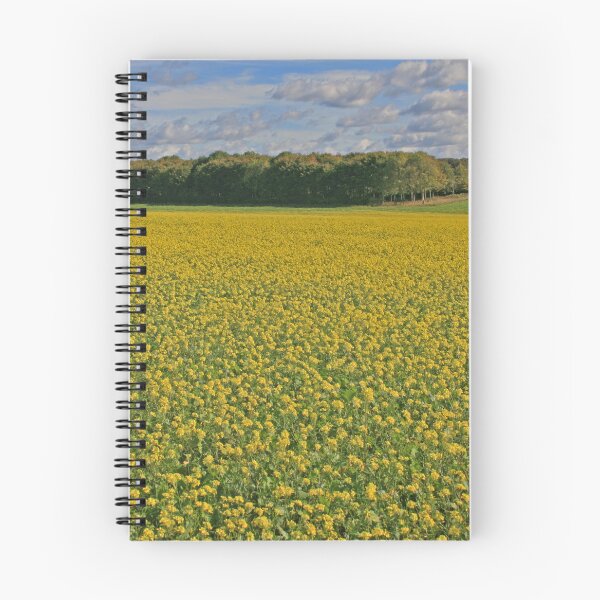 Item preview, Fields of Gold designed and sold by RedHillDigital.