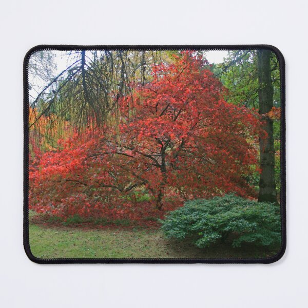 Item preview, Autumn Colours 2014 designed and sold by RedHillDigital.