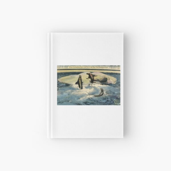 Item preview, 1940s Bronx Zoo Sea Lions Postcard designed and sold by WCS-Archives.