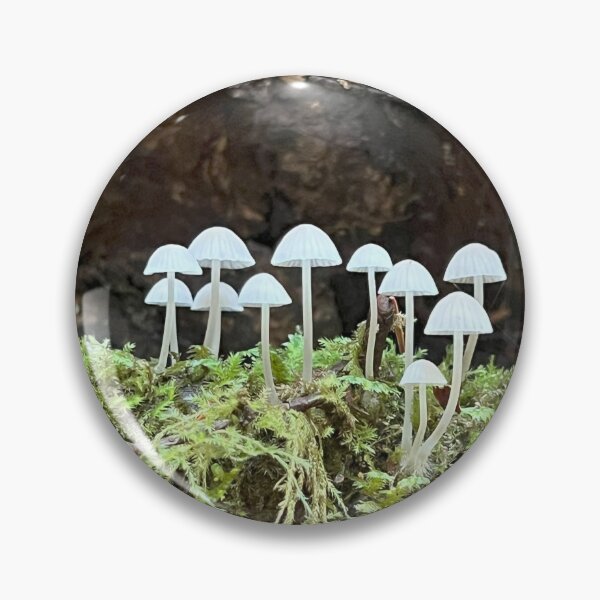 Item preview, Delicate Mushrooms Amidst Mossy Wonder designed and sold by tayokristine.