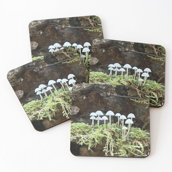 Item preview, Delicate Mushrooms Amidst Mossy Wonder designed and sold by tayokristine.