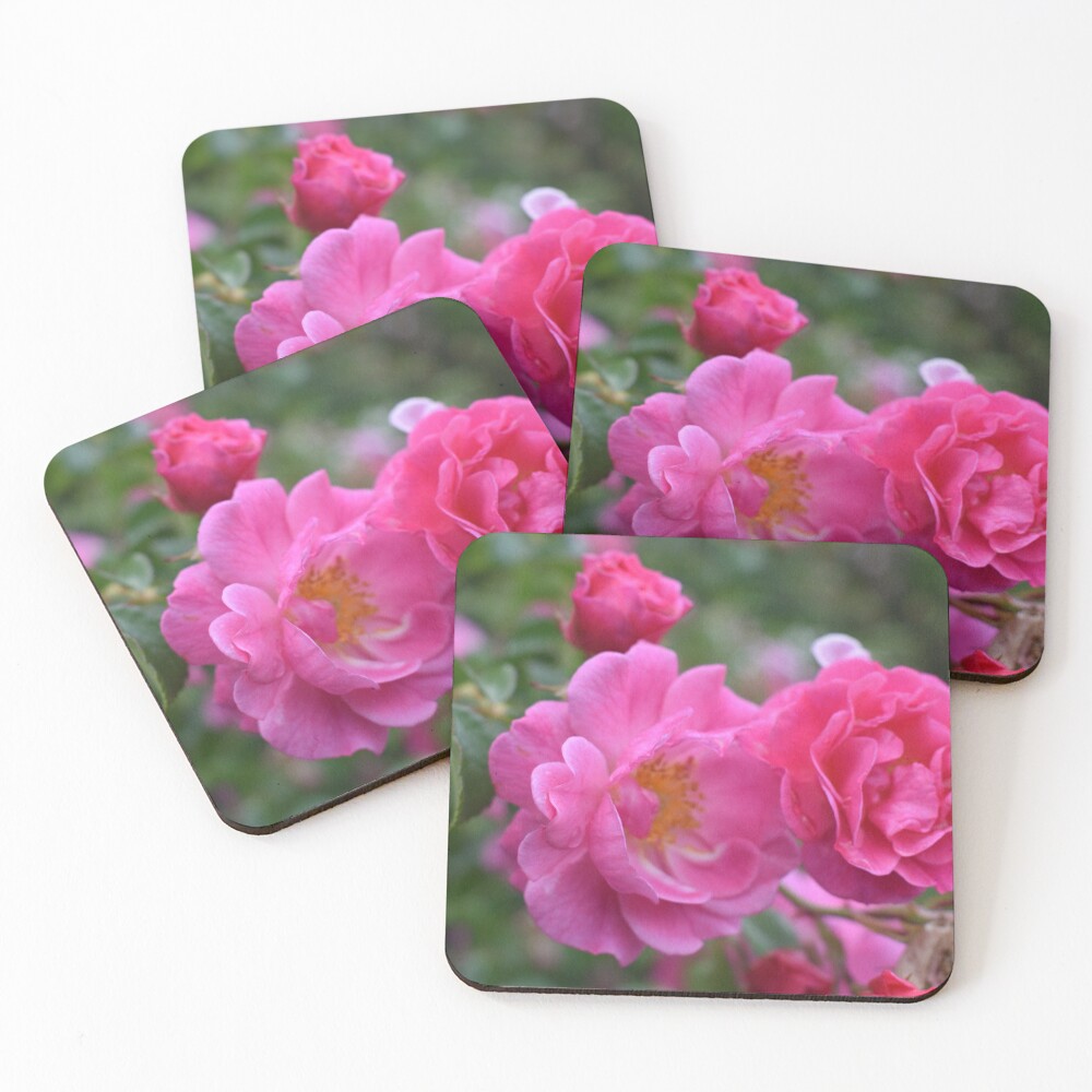 Item preview, Coasters (Set of 4) designed and sold by MangoSeeds.