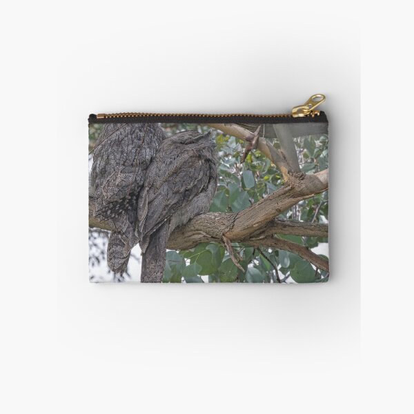 Item preview, Tawny Frogmouth w Young watching Leith Park Victoria 20180214 2331  designed and sold by Fred Mitchell.
