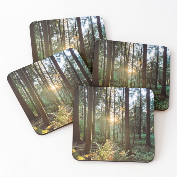 Item preview, Sunbeam through the Enchanted Forest designed and sold by tayokristine.