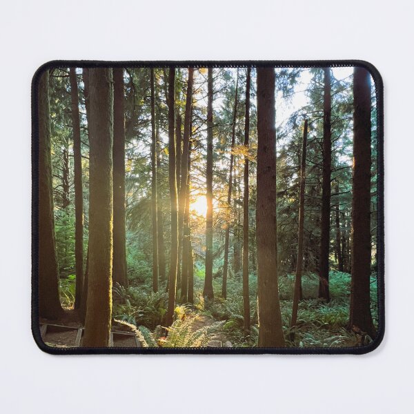 Item preview, Sunbeam through the Enchanted Forest designed and sold by tayokristine.