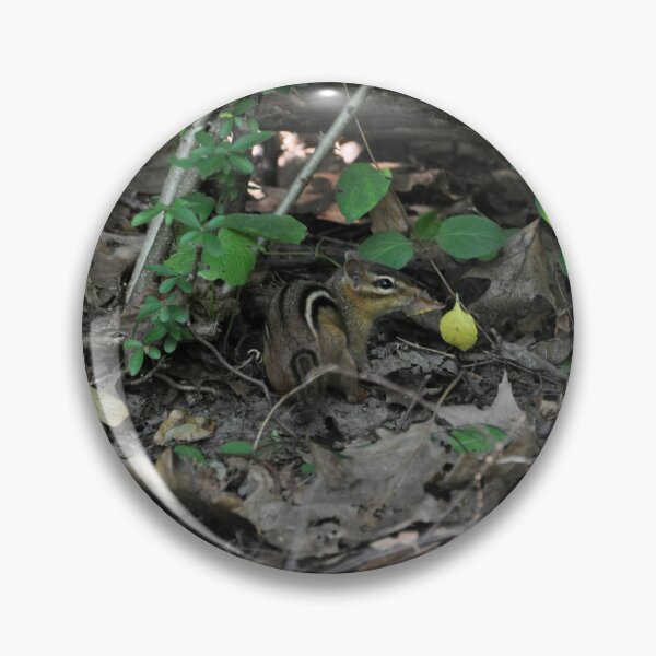 Item preview, Chipmunk in the Underbrush, City Island designed and sold by BadWolfStudios.