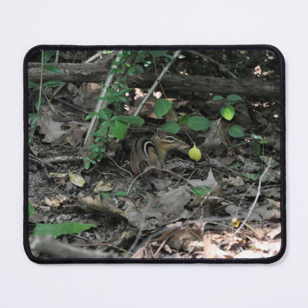 Item preview, Chipmunk in the Underbrush, City Island designed and sold by BadWolfStudios.