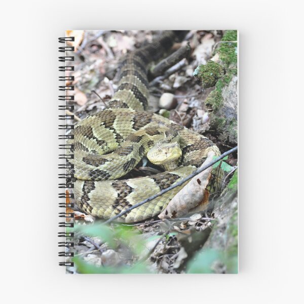 Item preview, Timber Rattlesnake on Peters Mountain designed and sold by BadWolfStudios.