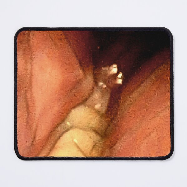 Item preview, Molars designed and sold by ontological.