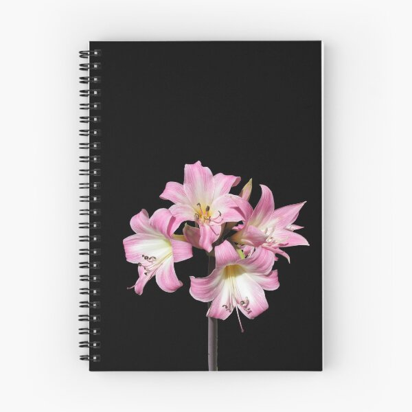 Item preview, Lily mother's day plant flower blossom designed and sold by Kampfkeiler.