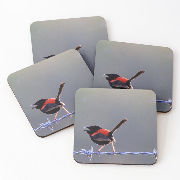 Item preview, Red-backed fairywren sitting on a fence designed and sold by BirdsAlive.