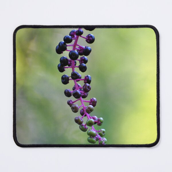 Item preview, Wild Berries of Peters Mountain designed and sold by BadWolfStudios.