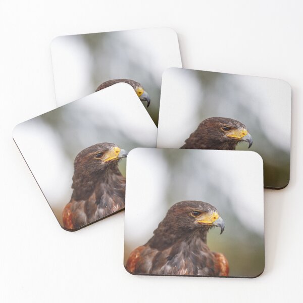 Item preview, Regal Harris's Hawk Portrait designed and sold by AvianAdventures.