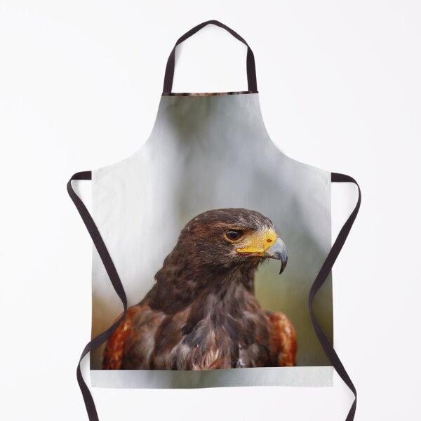 Item preview, Regal Harris's Hawk Portrait designed and sold by AvianAdventures.