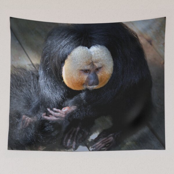 Aperçu de l'œuvre Singe Saki créée et vendue par Savannah Gibbs.