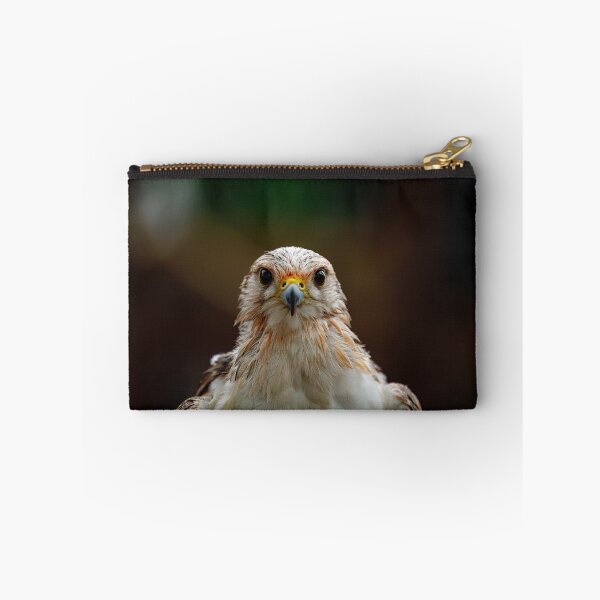 Item preview, Intense Falcon Gaze designed and sold by AvianAdventures.