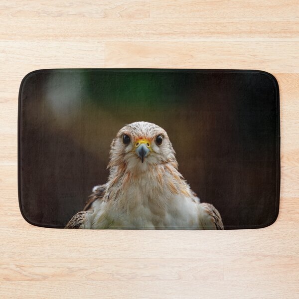 Item preview, Intense Falcon Gaze designed and sold by AvianAdventures.