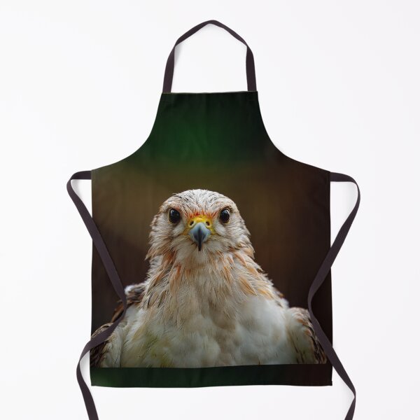 Item preview, Intense Falcon Gaze designed and sold by AvianAdventures.
