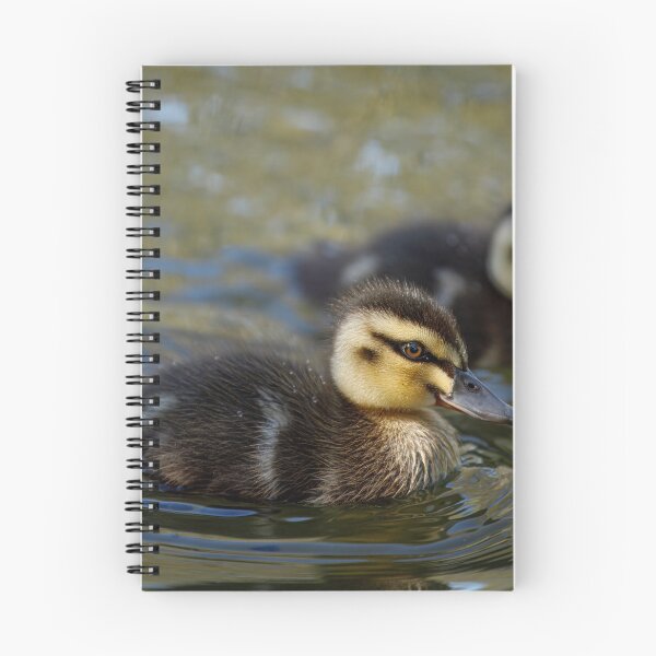 Item preview, Duckling Duo designed and sold by AvianAdventures.