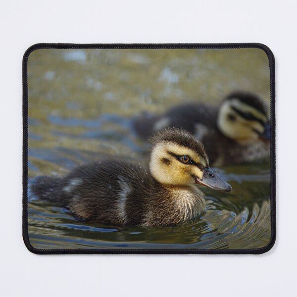 Item preview, Duckling Duo designed and sold by AvianAdventures.