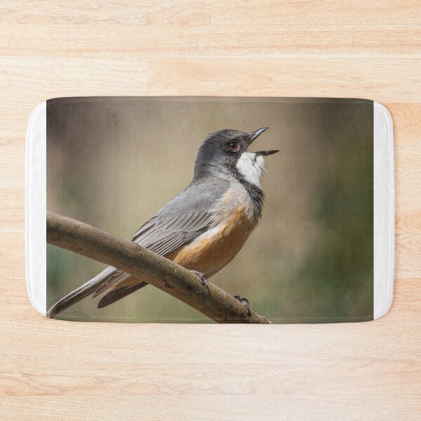 Item preview, Rufous Whistler Singing designed and sold by David  Hibberd.