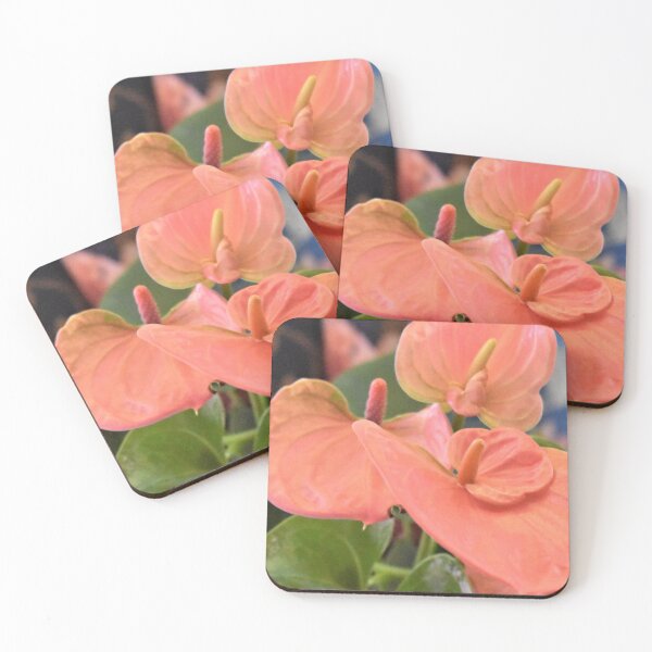 Item preview, Flamingo the Anthurium designed and sold by MangoSeeds.