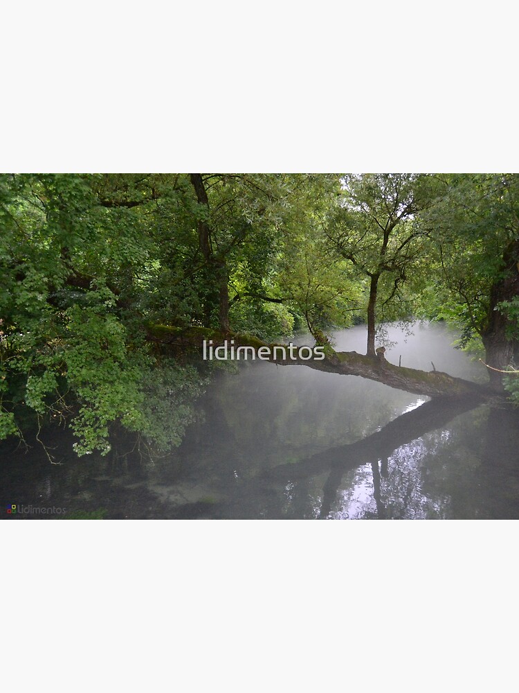 Die Blau by lidimentos