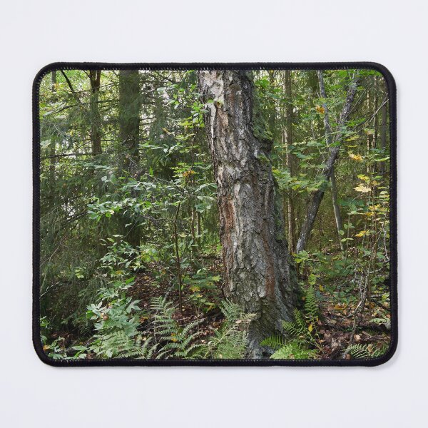Item preview, Almost a jungle.. Haavisto 2024 designed and sold by Jouko Lehto Photography.