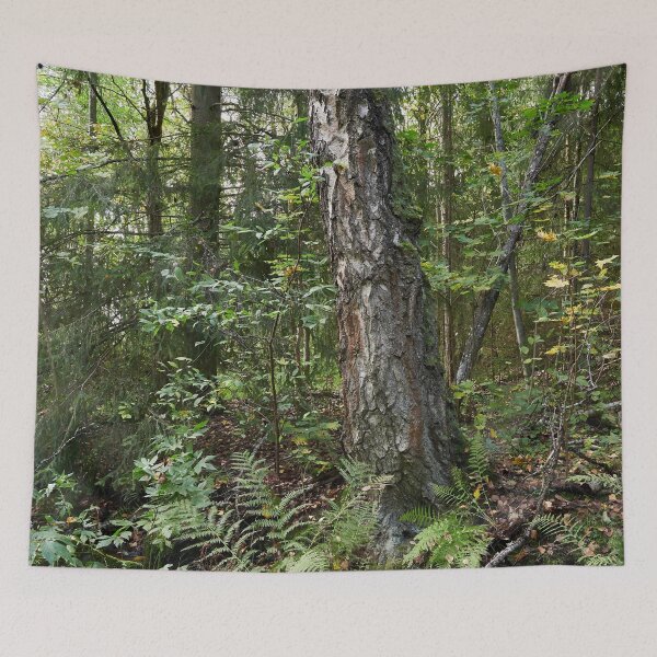 Item preview, Almost a jungle.. Haavisto 2024 designed and sold by Jouko Lehto Photography.