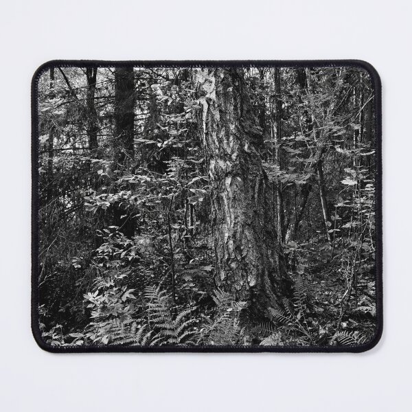 Item preview, Almost a jungle.. Haavisto 2024 bw designed and sold by Jouko Lehto Photography.
