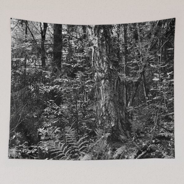 Item preview, Almost a jungle.. Haavisto 2024 bw designed and sold by Jouko Lehto Photography.