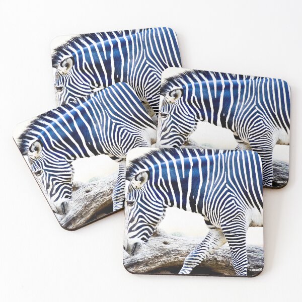 Item preview, Stunning Striped Zebra Wild Animal  Fine Art Print  designed and sold by Yogibear & Rachelle .