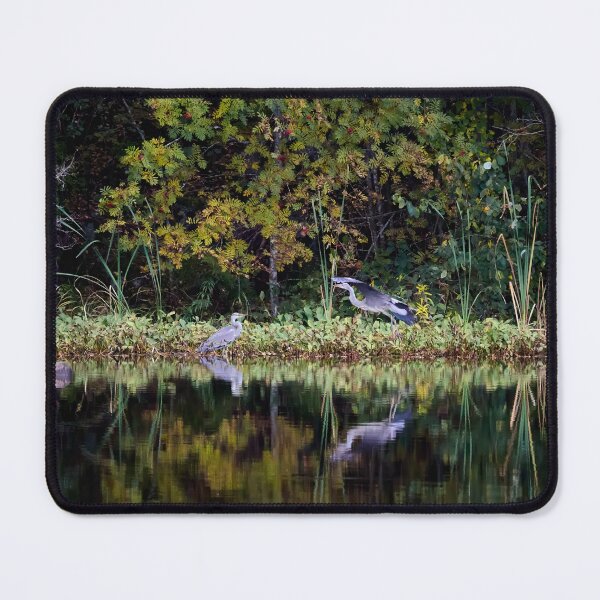 Item preview, We will meet under the rowan tree. Grey heron designed and sold by Jouko Lehto Photography.