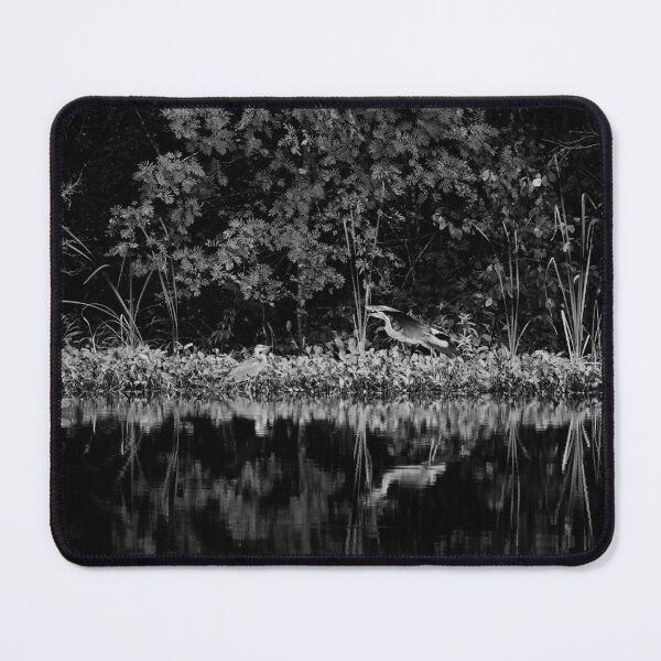 Item preview, We will meet under the rowan tree. Grey heron bw designed and sold by Jouko Lehto Photography.