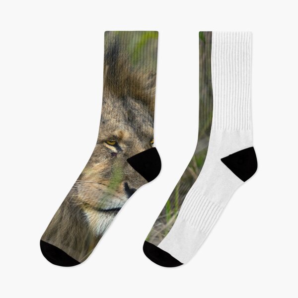 Item preview,  Male Lion in Grass designed and sold by AndyMorkot.