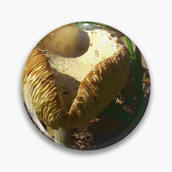 Item preview, Mushroom designed and sold by MercerImages.