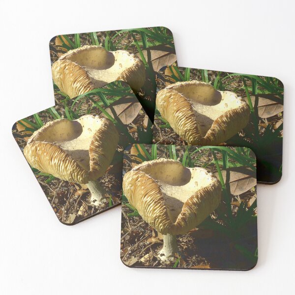 Item preview, Mushroom designed and sold by MercerImages.