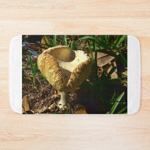 Item preview, Mushroom designed and sold by MercerImages.