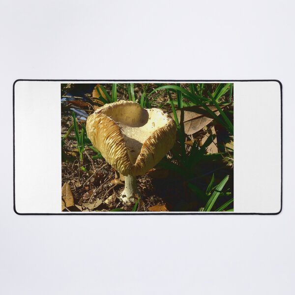 Item preview, Mushroom designed and sold by MercerImages.