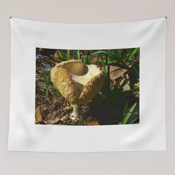 Item preview, Mushroom designed and sold by MercerImages.