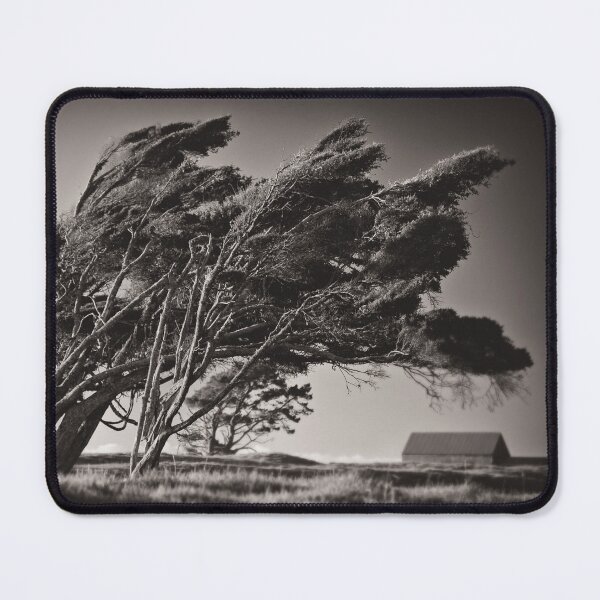 Item preview, Windswept Trees designed and sold by David Bowman.