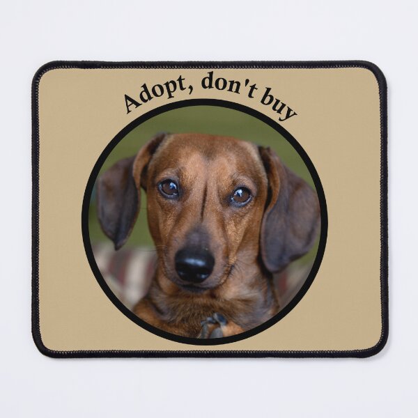 Item preview, Adopt, don't buy a dog, adopt animals. designed and sold by mikistudio.