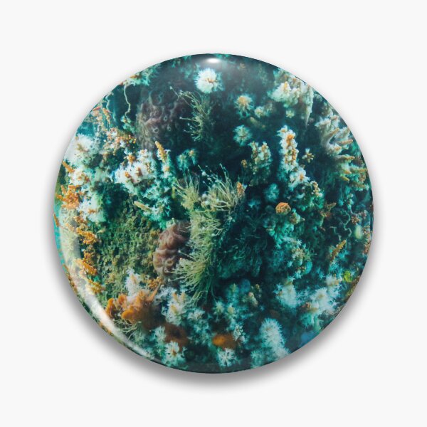 Item preview, Vibrant Underwater Ecosystem – Coral and Marine Life Close-Up designed and sold by shaynetwright.