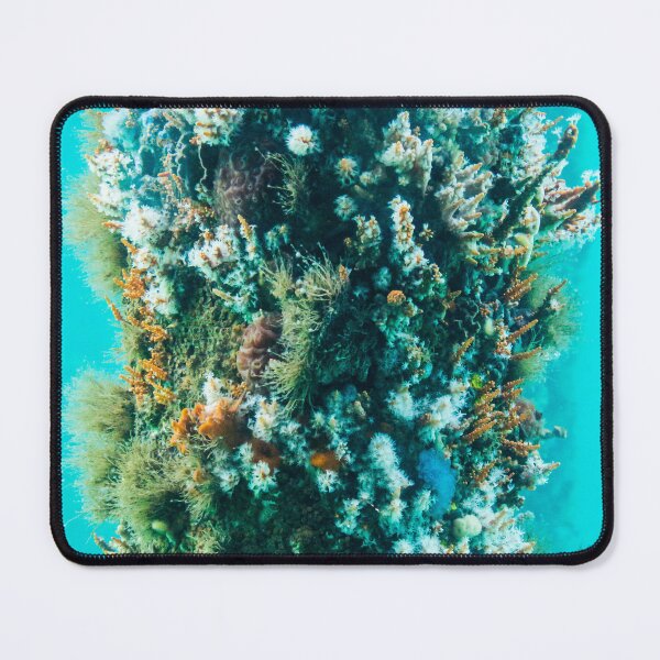 Item preview, Vibrant Underwater Ecosystem – Coral and Marine Life Close-Up designed and sold by shaynetwright.