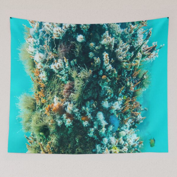 Item preview, Vibrant Underwater Ecosystem – Coral and Marine Life Close-Up designed and sold by shaynetwright.