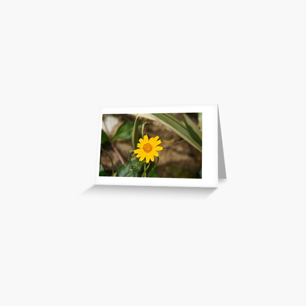 Shine Like the Sun Greeting Card