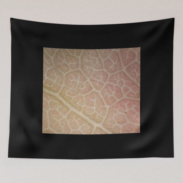 Item preview, Leaf cells structure 80x designed and sold by Denis Rösler.